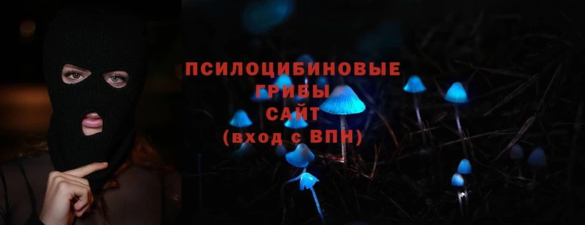 Галлюциногенные грибы MAGIC MUSHROOMS  Пятигорск 