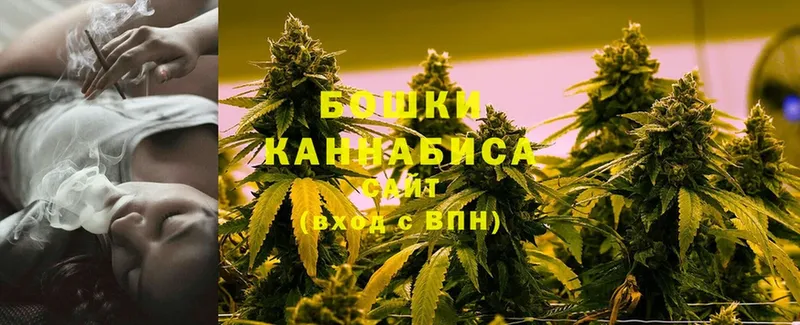 Бошки Шишки OG Kush  кракен онион  Пятигорск 